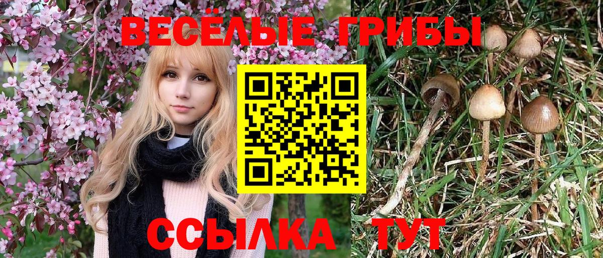 Галлюциногенные грибы ЛСД Оренбург