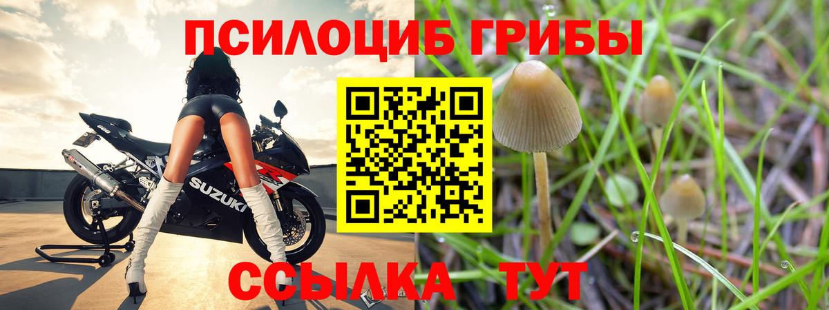 Оренбург  Галлюциногенные грибы MAGIC MUSHROOMS  Вход с VPN 